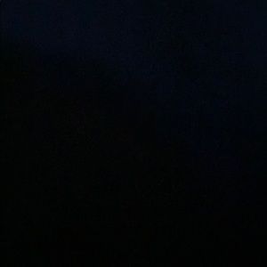 Meet your Posher, Sully